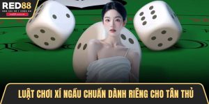 luật chơi xí ngầu